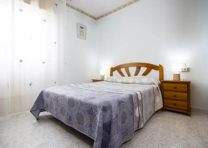 Jacarilla Id194 Torrevieja